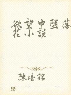 欲望中堕落的校花小说