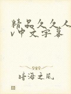 精品久久人妻av中文字幕封面