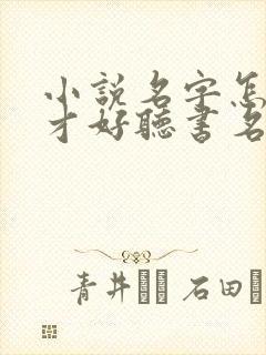 小说名字怎么取才好听书名