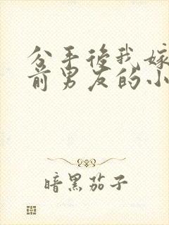 分手后我嫁给了前男友的小叔txt