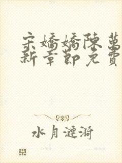 宋娇娇陈万里最新章节免费阅读小说封面