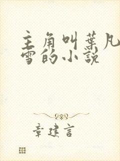 主角叫叶凡唐若雪的小说