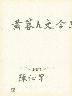 黄蓉h文合集封面