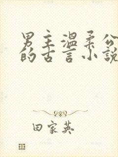 男主温柔公子型的古言小说