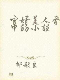官婿美人香刘志中的小说封面