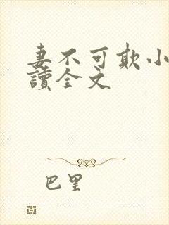 妻不可欺小说阅读全文