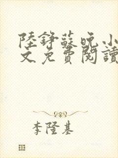 陆铮苏晚小说全文免费阅读