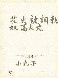 花火被调教成肉奴高h文封面