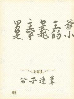 男主是王爷女主是穿越的小说