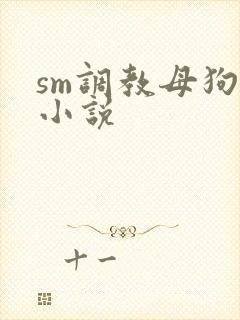 sm调教母狗奴小说