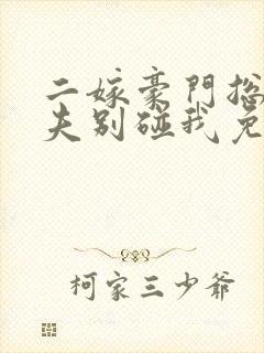 二嫁豪门总裁前夫别碰我免费阅读