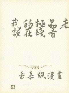 我的极品老婆小说在线看