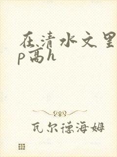 在清水文里被np高h