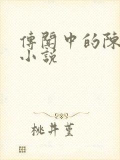 传闻中的陈芊芊小说