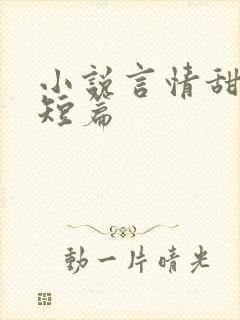 小说言情甜宠文短篇封面