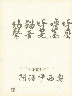 幼猫呼噜呼噜的声音是怎么回事