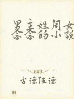 男主姓周女主叫念念的小说