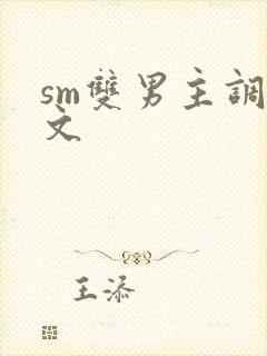 sm双男主调教文