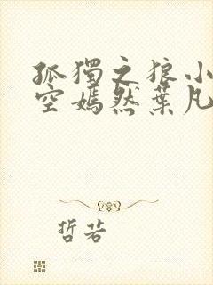 孤独之狼小说司空嫣然叶凡