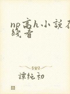 np高h小说在线看