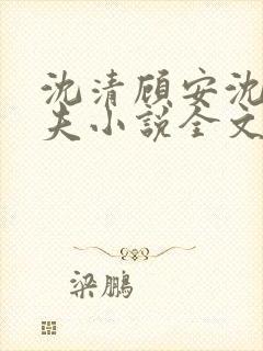 沈清顾安沈澈姐夫小说全文阅读