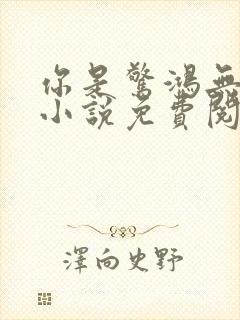 你是惊鸿无欢喜小说免费阅读封面