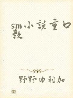 sm小说重口调教