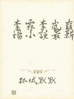 李霖李岚巅峰官场小说最新章节更新封面