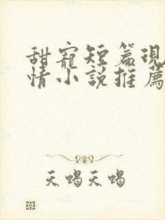 甜宠短篇现代言情小说推荐封面