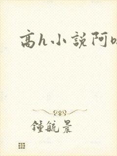 高h小说阿嗯封面