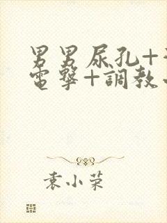 男男尿孔+灌+电击+调教小说