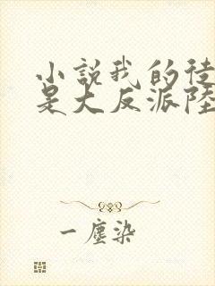 小说我的徒弟都是大反派陆州完结封面