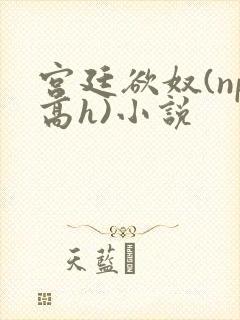 宫廷欲奴(np高h)小说