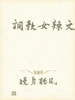 调教女辣文