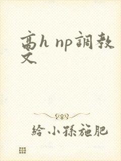 高h np调教文
