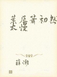 叶辰萧初然更新太慢