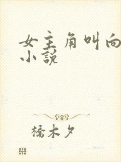 女主角叫向晚的小说封面