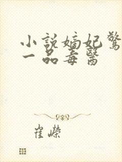 小说嫡妃惊华:一品毒医封面