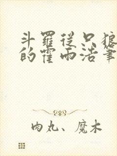 斗罗从只狼归来的霍雨浩笔趣阁