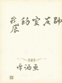 我的室友帅哥张辰