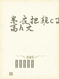 半夜把亲c高潮高h文封面