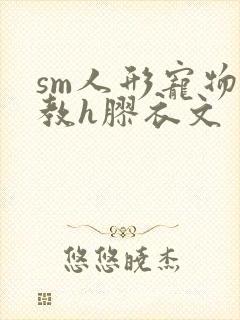 sm人形宠物调教h胶衣文