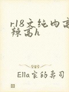 r18文纯肉高辣高h