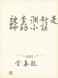 被李渊赶走的军师的小说封面