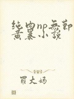 纯肉np无节操黄暴小说