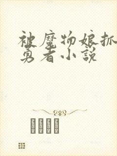 被魔物娘抓住的勇者小说