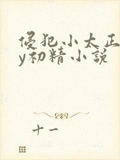 侵犯小太正gay初精小说