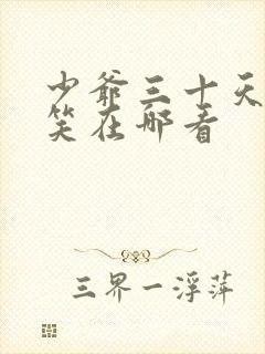 少爷三十天后会笑在哪看封面