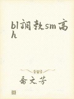 bl调教sm高h