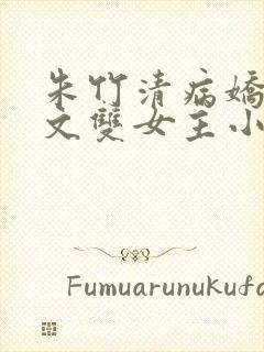 朱竹清病娇百合文双女主小说